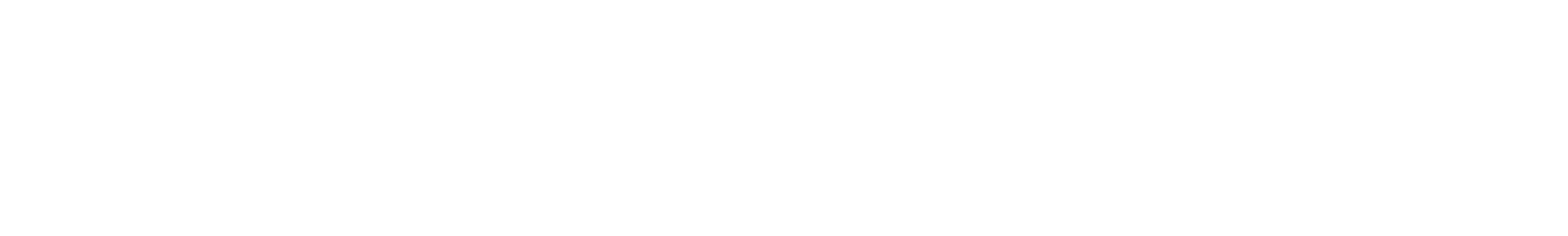 Logo NAKIVO